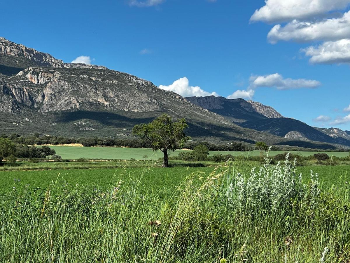 Apartaments La Pertusa Corca  Bagian luar foto